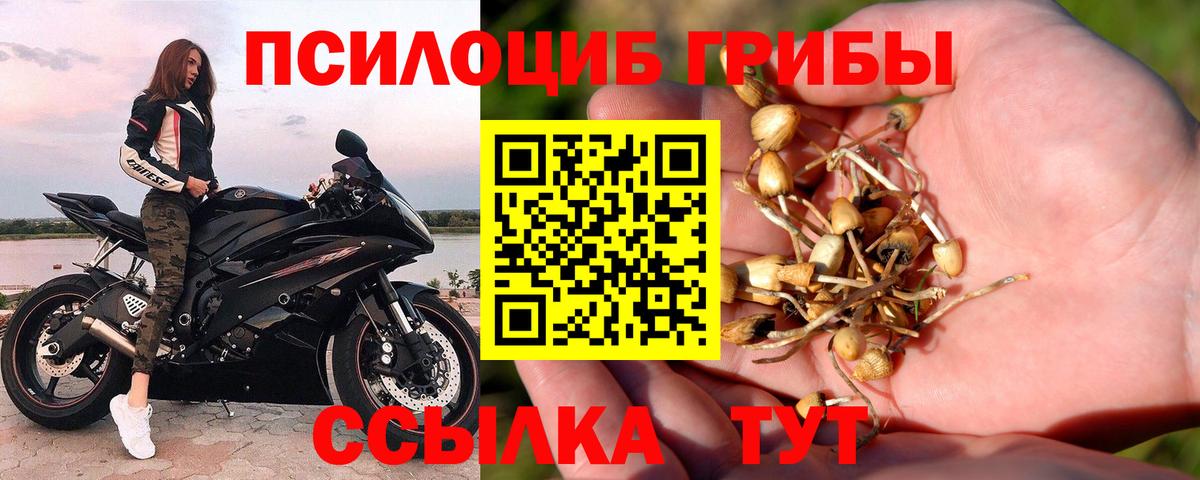 Псилоцибиновые грибы мухоморы Славянск-на-Кубани