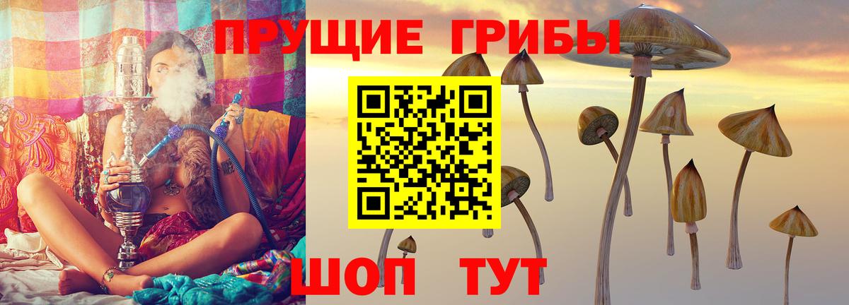 Галлюциногенные грибы Magic Shrooms  Вход с VPN  Славянск-на-Кубани 